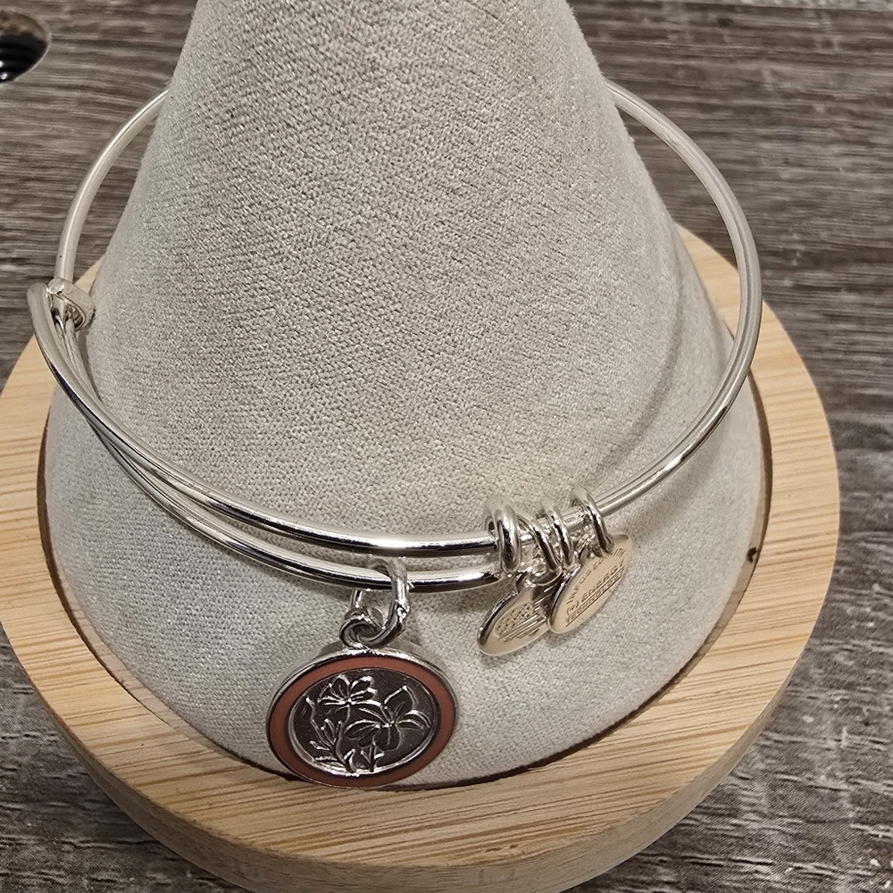 Alex and Ani Silver Charm Bracelet
